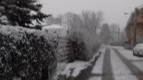 Snow Storm Stock Photos