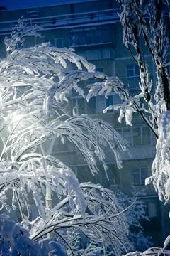 Snow-storm Foto stock