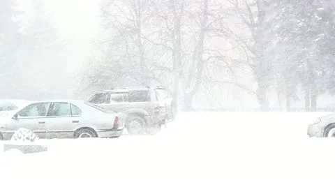 Snow storm on the road Stock Footage 22233612