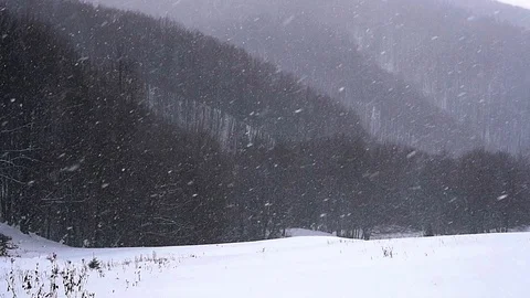 Snow storm slow motion Stock-Footage 99801115