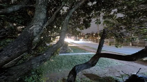 Snow Storm Time-lapse Stock-Footage 79010758