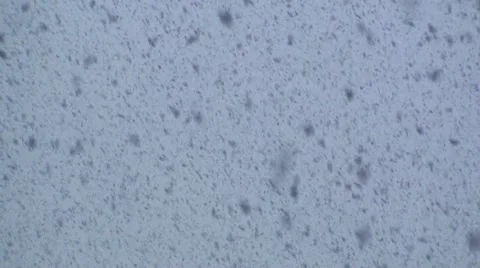 Snow storm at twilight. Abstract background Stock Footage 67830145