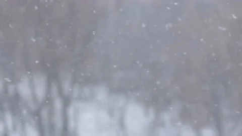 Snow storm on a winter day. Selective focus, shallow depth of field. Heavy snow Stock Footage 174194166