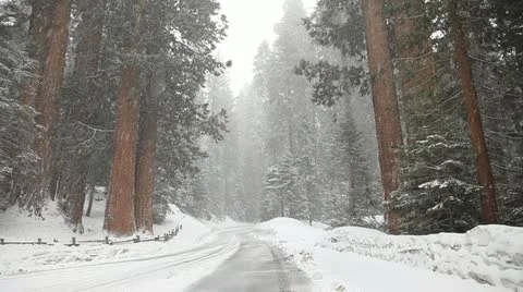 Snow storms and road closures in Sequioa National Park PT3 Stock Footage 10833231