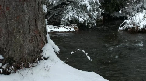 Snow Stream Pan Stock Footage 49107992