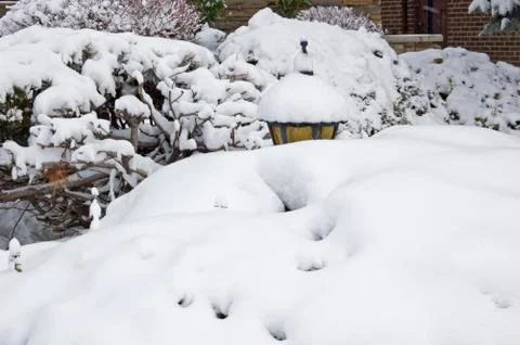 Snow on the street Foto stock