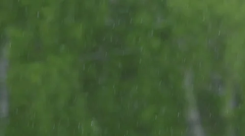 Snow summer 動画素材 53234132