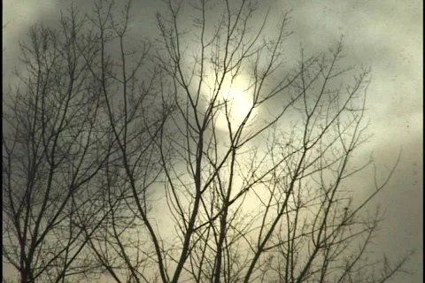 Snow with Sun Through Clowds 1 Stock Footage 298357