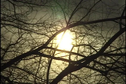 Snow with Sun Through Clowds 2 Stock Footage 298360