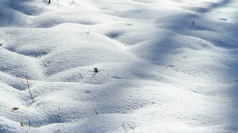 Snow surface in morning light. Stock Footage 16271311