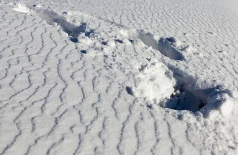 Snow surface, winter Stock Photos