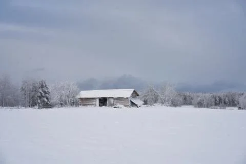 Snow Tale Stock Photos