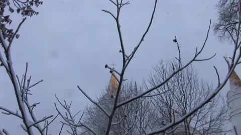 Snow temple 12 Stock Footage 10699348