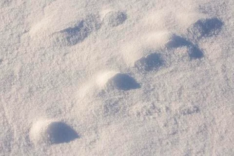 Snow texture background with copy space Stock Photos