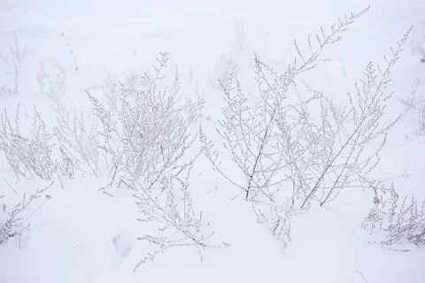 Snow texture background with copy space Stock Photos