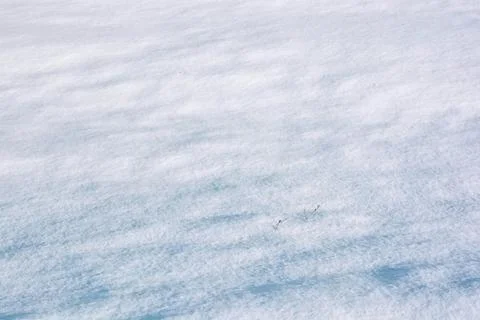 Snow texture background Stock-Fotos