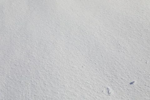 Snow texture background Stock Photos