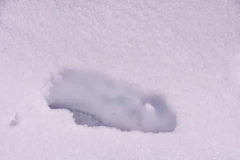 Snow texture for the background Fotos Stock