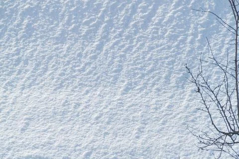 Snow texture. Background of pure blue and white snow. Winter pattern. Stock Photos