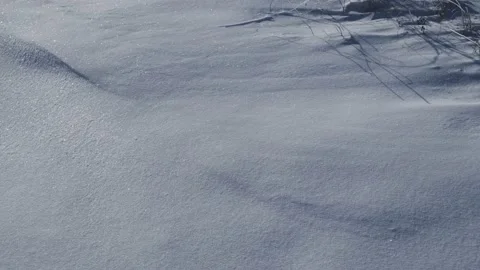 Snow texture close-up. Vídeos de archivo 211619283