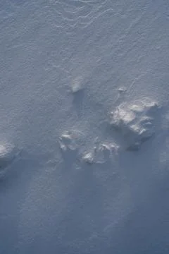 Snow texture, pattern. Light and shadow. Stock-Fotos