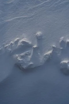 Snow texture, pattern. Light and shadow. Stock Photos