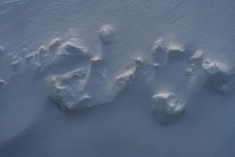 Snow texture, pattern. Light and shadow. Stock Photos