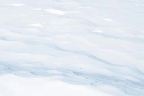 Snow texture 스톡 사진