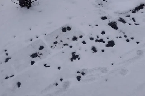 Snow texture Stock Photos