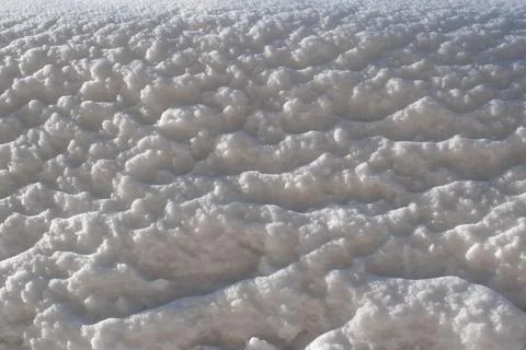 Snow texture. Winter background. Daylight. Snow crystals Stock Photos