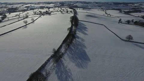 Snow Three Stock-Footage 90356698