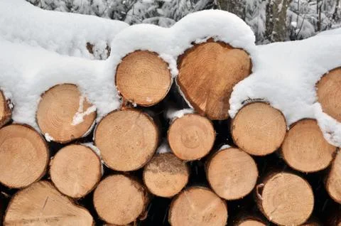 Snow on the timber stack Stock Photos