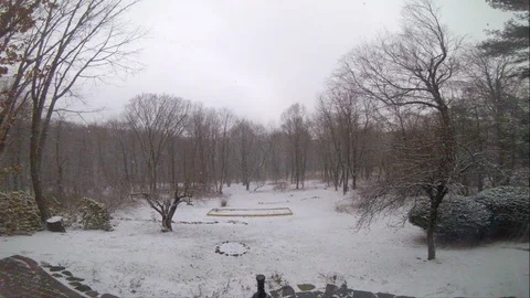 Snow time-lapse backyard snowstorm Stock Footage 88214663