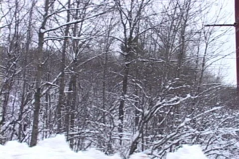 Snow Tracking 1 Video stock 265335