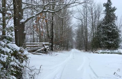 Snow tracks Foto stock