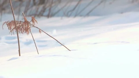 Snow Tracks with Winter Landscape. Video stock 306647979