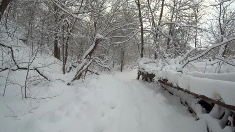 Snow trail Stock Footage 167410959