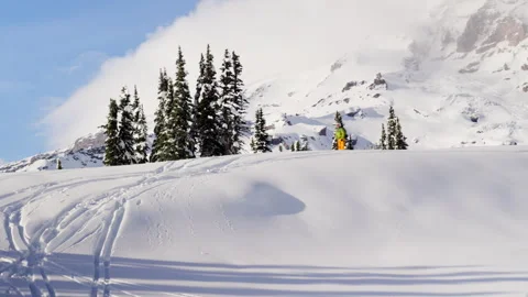 Snow Trail Stock-Footage 315114979