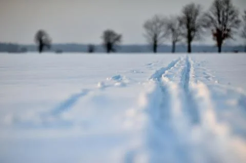 Snow trail Stock Photos