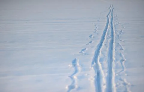 Snow trail Stock Photos