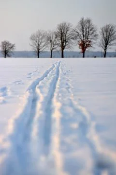 Snow trail Stock Photos