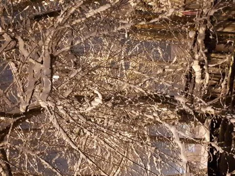 Snow tree Foto stock