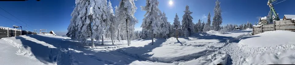 Snow tree Stock-Fotos