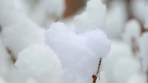 Snow on the trees 018 Stock Footage 106391331