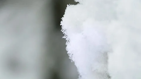 Snow on the trees 021 Stockbeeldmateriaal 106391457