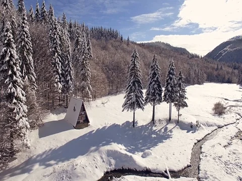 Snow on the Trees Vídeos de archivo 72500282