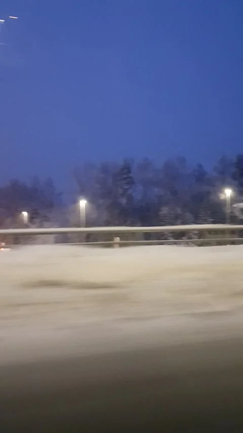 Snow on the trees Stock Footage 146867456