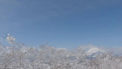 Snow trees in front of white volcano mountain winter landscape, Japan Stock Footage 273643831