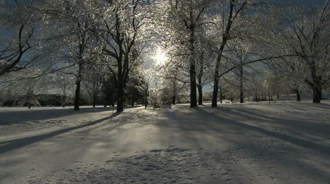 Snow trees ice Stock Footage 34457493