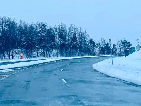 Snow Trees Stock Photos